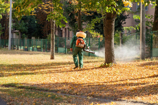 Best Local Pest Control Services  in Forest, MS